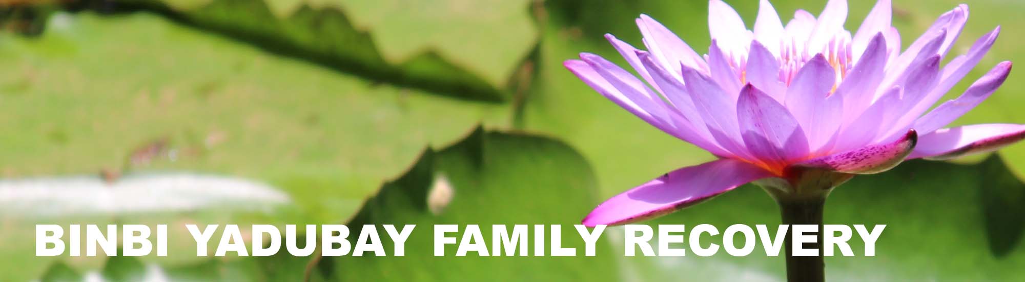 Binbi - family