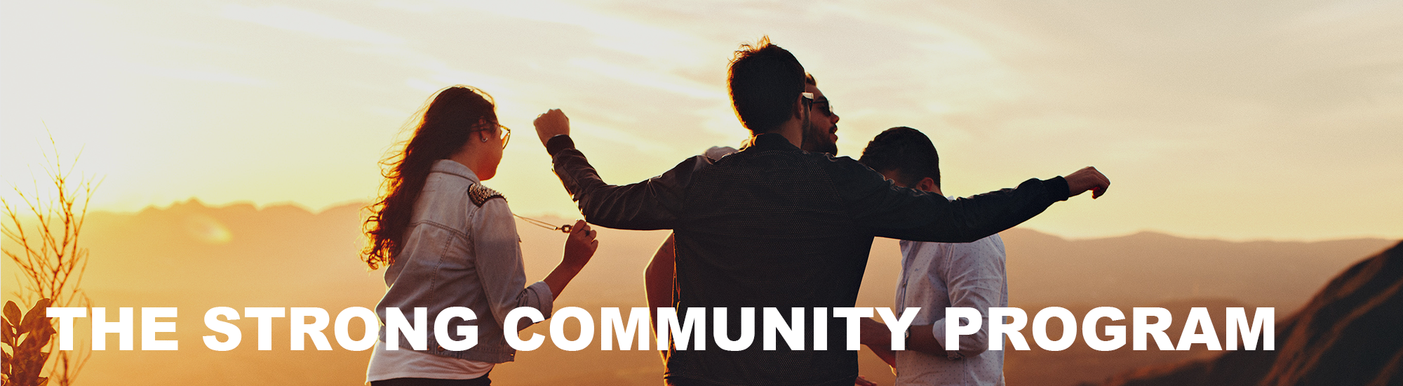 The Strong Community Program - banner