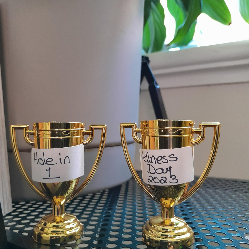 2 gold color prize cups 